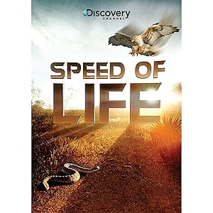 Speed of Life 2010–